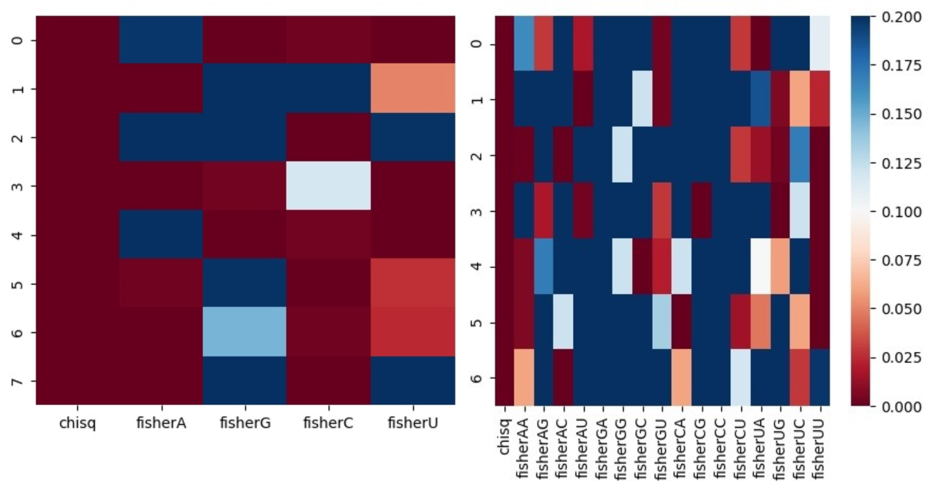 Heatmaps illustrating chi-squared and Fisher exact p-values when assessing differences in positional proportions of single nucleotides (left) and dinucleotides (right) for each position in the positive and negative datasets, using a subset of D. melanogas Heatmaps illustrating chi-squared and Fisher exact p-values when assessing differences in positional proportions of single nucleotides (left) and dinucleotides (right) for each position in the positive and negative datasets, using a subset of D. melanogas